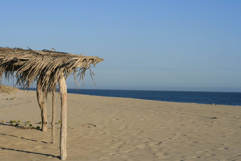 palapa beach 1007Ã—674 | David and Laura Nelson